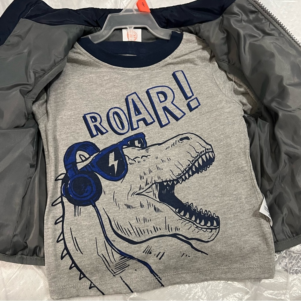 Shirt vest